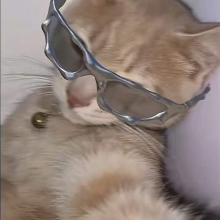 ᴶᴱᴺᴺᴵᠻꫀꪹ