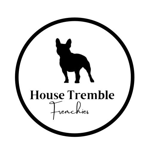 House Tremble Frenchies🐾