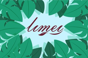 Limeikai Mei Makeup