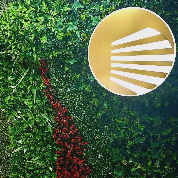 Moon Blinds Persianas | Tapiz