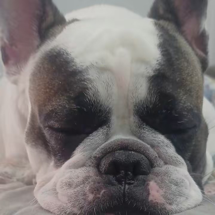 Lah que ama os rosa ❤️