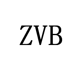 ZVB SHOES