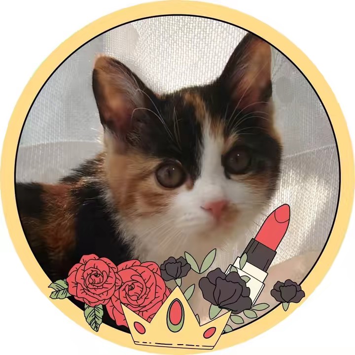 🌸🍒たまちゃんのお家🍒🌸