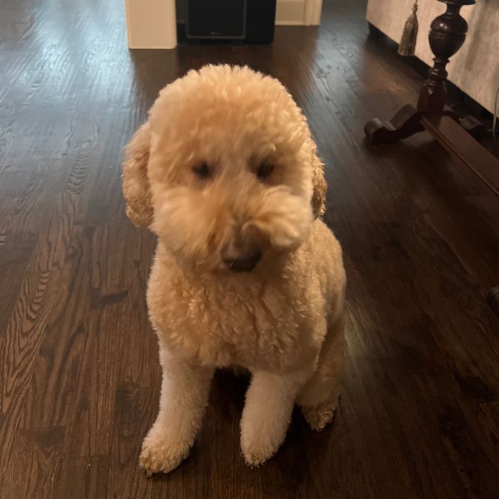 DanRobyne Enterprises