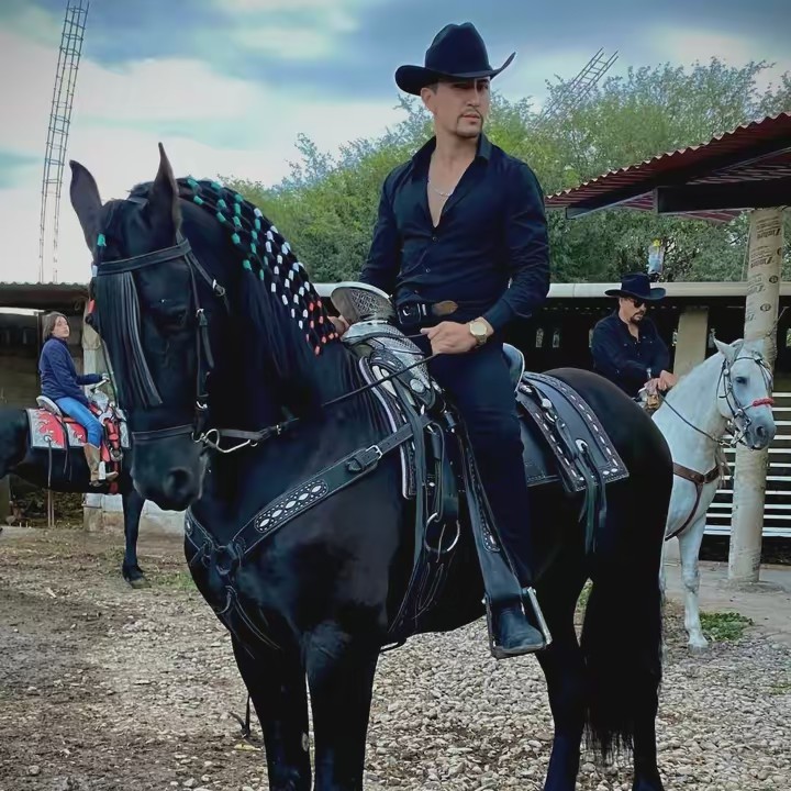 Pollo Cordero Martel