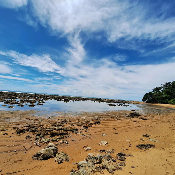 ⚡𝒶𝒶𝓁ℯ𝓇𝓌𝒶𝓃𝒹𝒾 ⚡