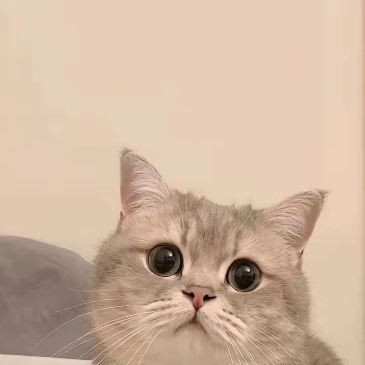 Thích gì làm đó