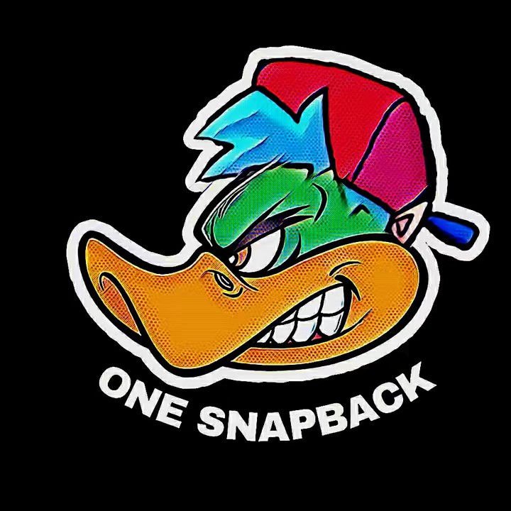 ONESNAPBACK