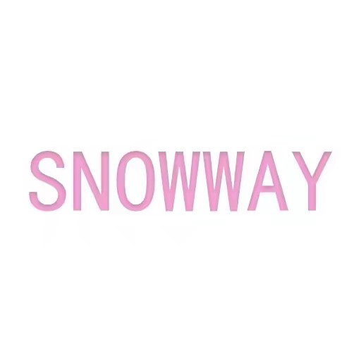 Snowway Skin