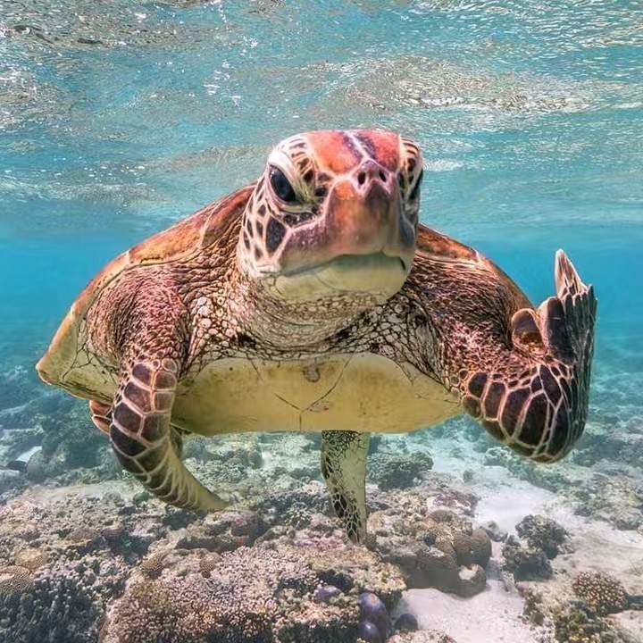 🇵🇹🇵🇹J-B 🇵🇹🇵🇹