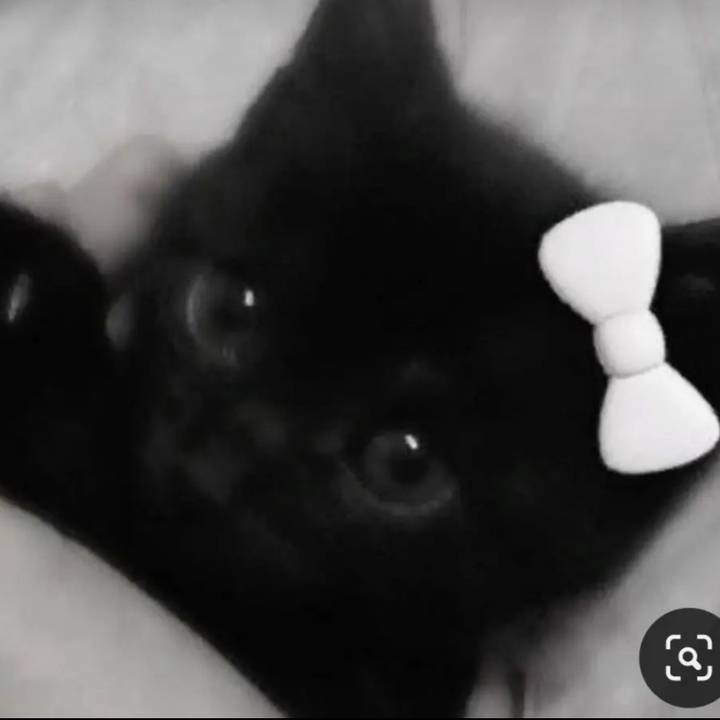 🩷Outfit Ideas for Roblox🩷