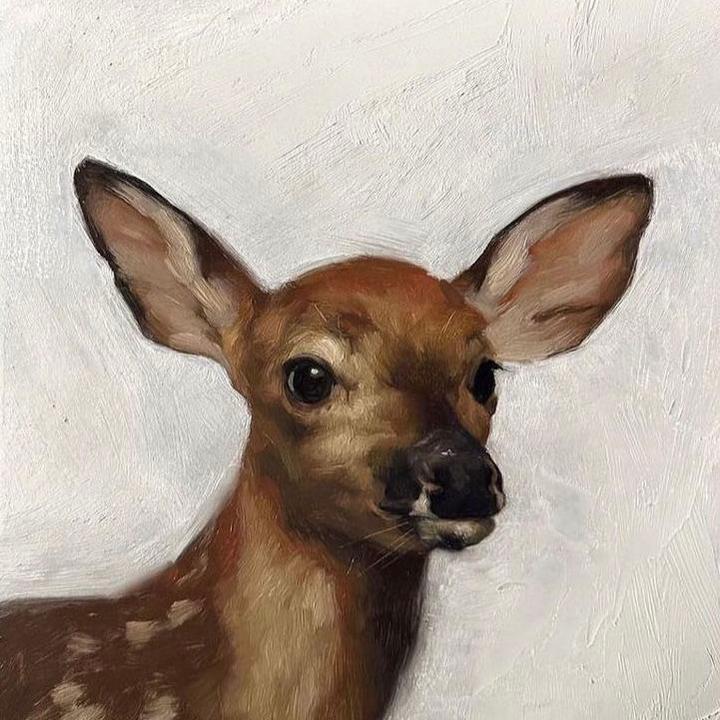 -✰ 𝘅𝗺𝗮𝘀𝗹𝗼𝘃𝗲𝗱𝗲𝗲𝗿 ✰-