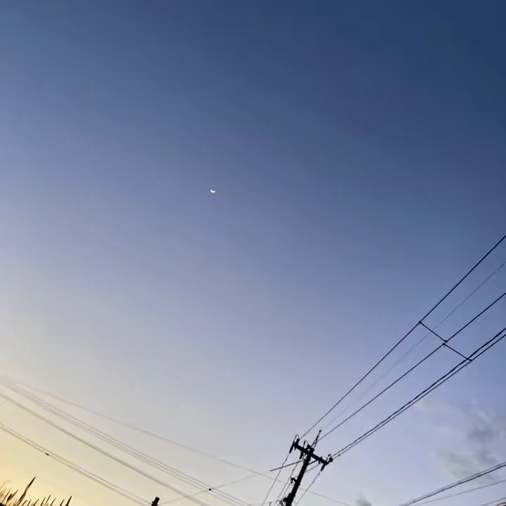 ｷﾁｶﾞｲちゃん