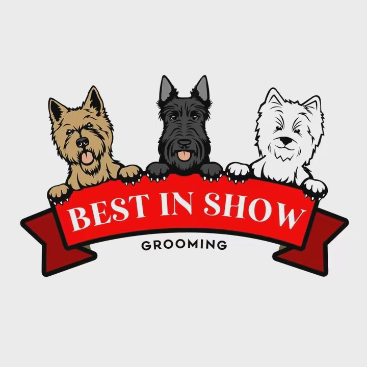 Best in Show