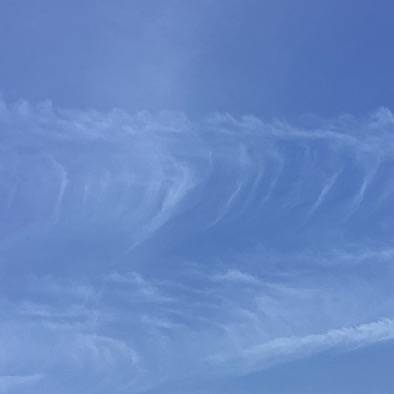 Yozakura🌙｡❀ 𓂃𓈒𓏸*