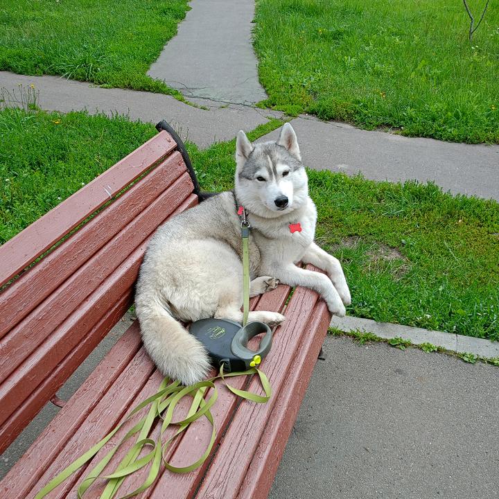 Мастерская Вована