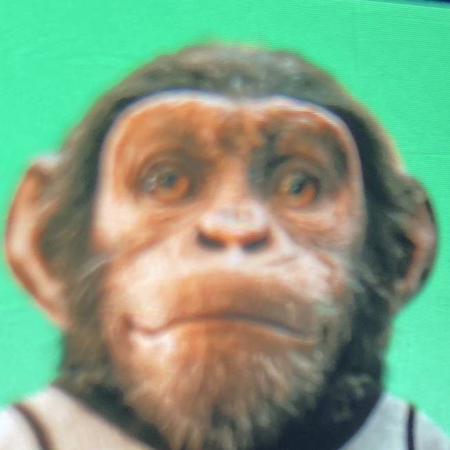 Finn🏴󠁧󠁢󠁳󠁣󠁴󠁿🧡🖤✝️