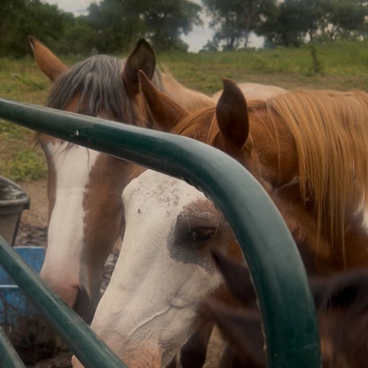 ⚓️🇧🇿🐆0️⃣9️⃣💫u garcía💫🇺🇸