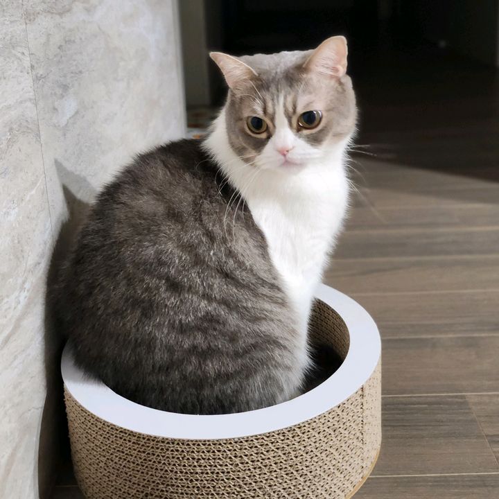 daybyday 데이바이데이