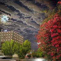 ❤💙nanci ❤💙