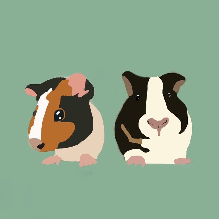 💫The little fatties💫