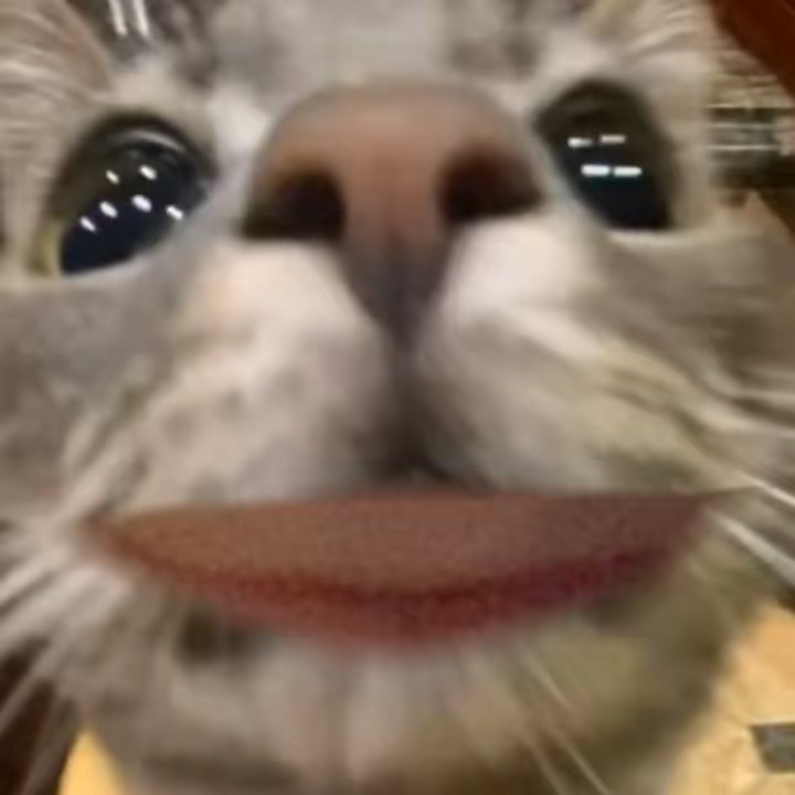 𝙲𝚑𝚞𝚝🎀🪩