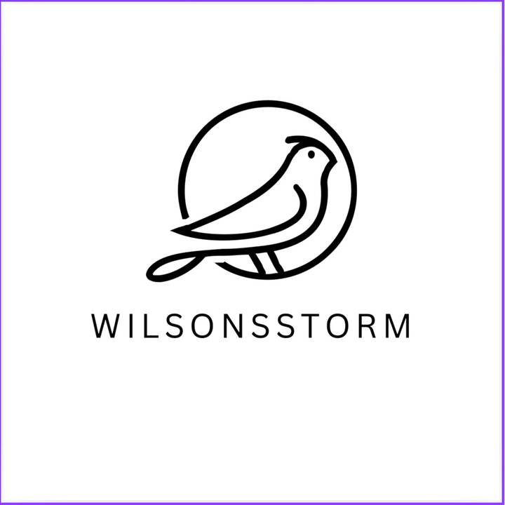 WILSONSTORM
