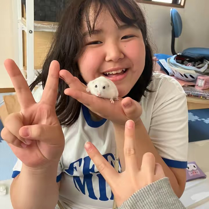 ハム太最愛チャンネル