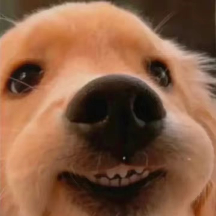 나이스아메리카노