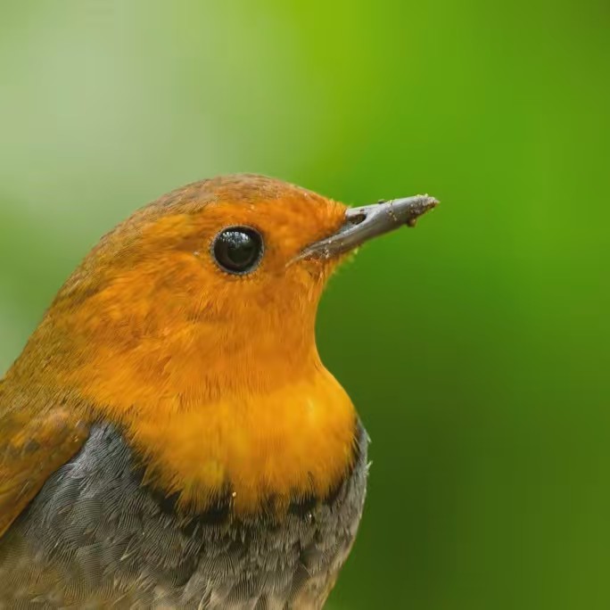 СОЛО🎤VEYKO💛💙