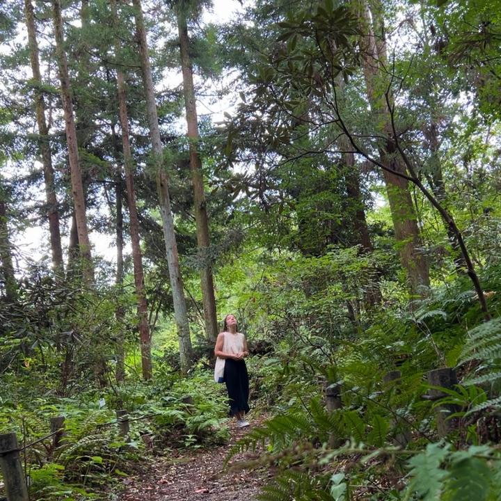 ❀*ੈhana✩‧₊˚