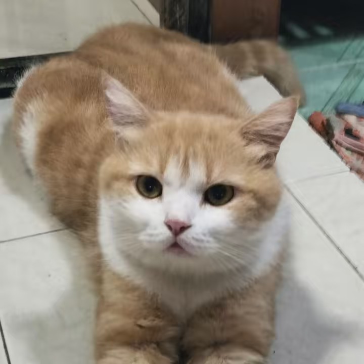 สุทธินัย 651