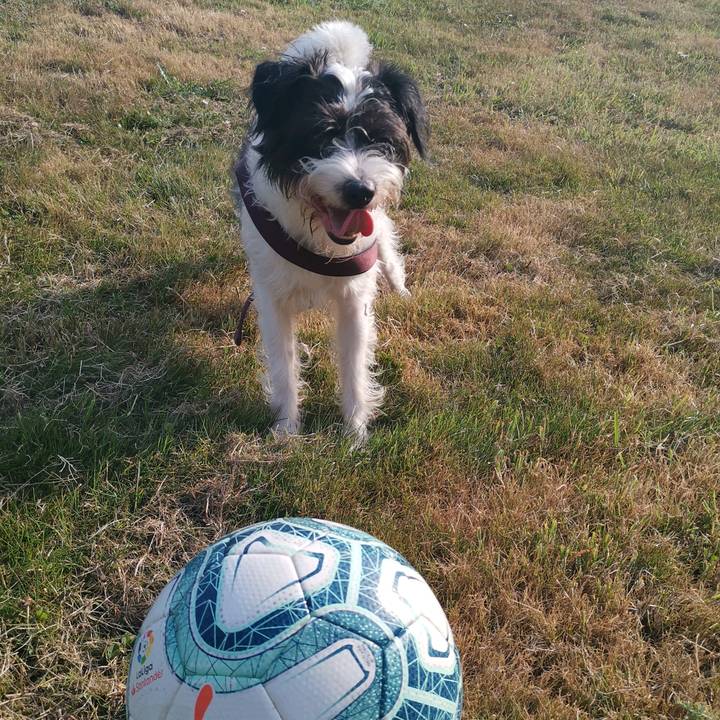 Mónica Patricia Chan