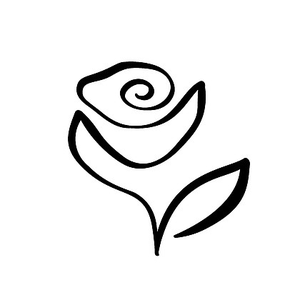 Blush & Glow Studio
