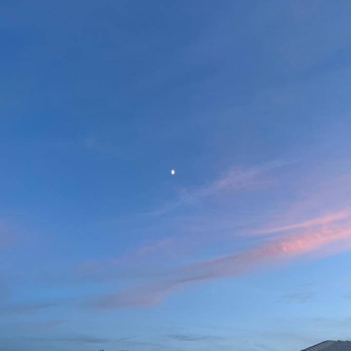 moon 🌙