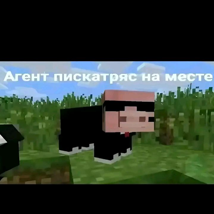 Агент Писькатряс