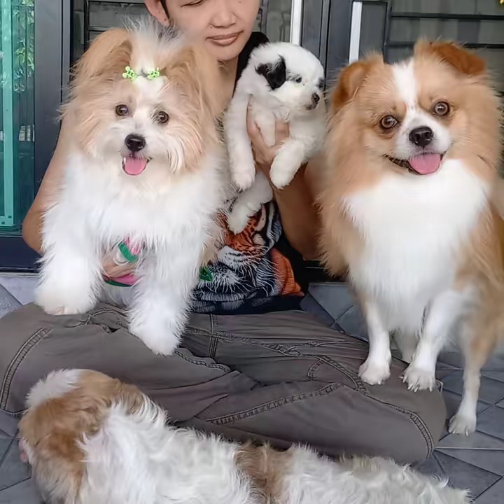 พี่เฮงๆ&น้องนับตังค์ Shop🐶🐶