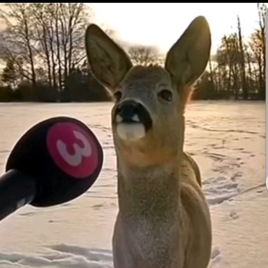 LJ.⚾️🏈🎃🍂