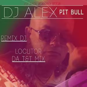 ALEX - PIT BULL
