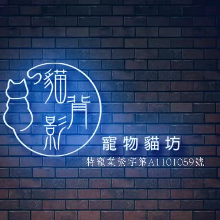 貓背影寵物貓坊