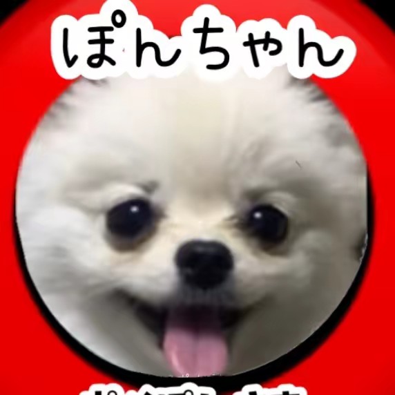 ポメぽんさま(ponchan)