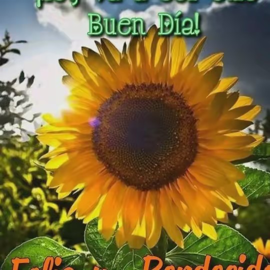 PENÉLOPE CRISTAL 🔮