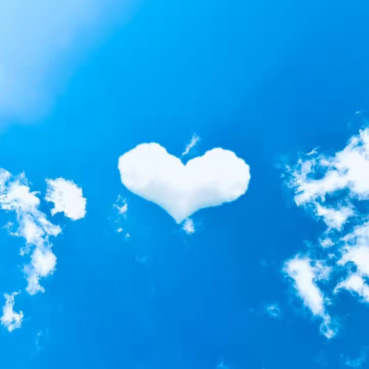 🫶🏼الثلج_البيضاء_القرشي🫶🏼