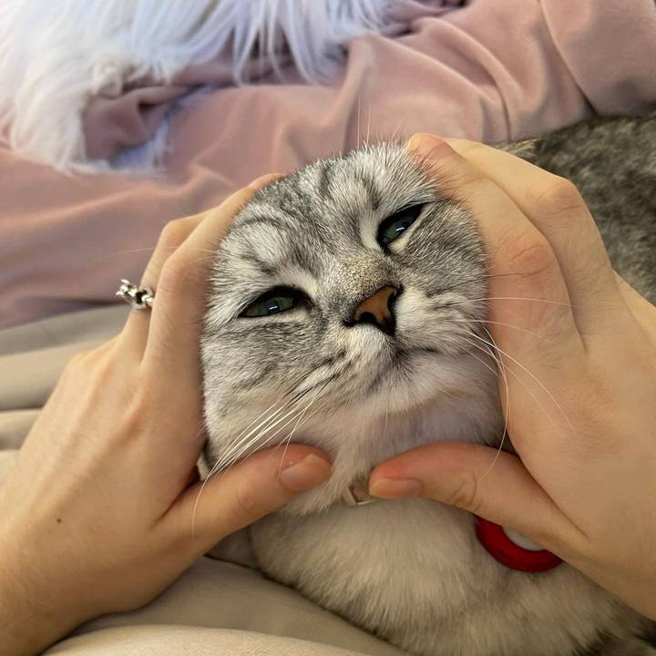 chloemiranz 🇵🇸