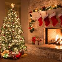 Todds Automotive Inc