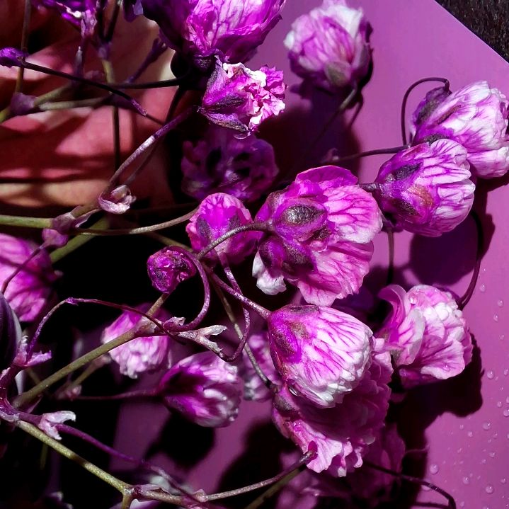 Татьяна Лежукова