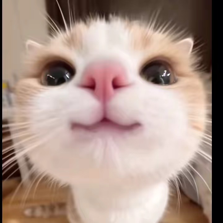 ビックマックセット/🤪🔫❤️