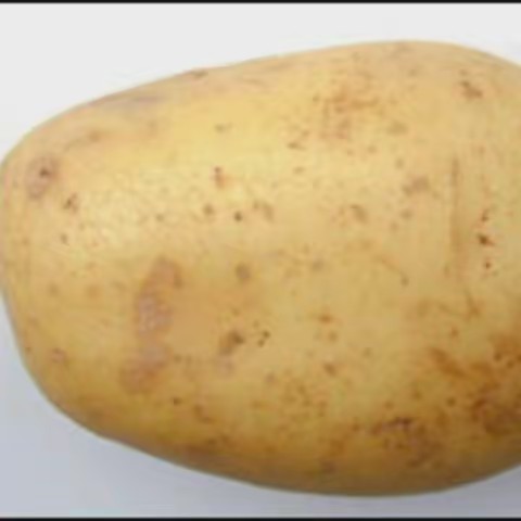potato😎👌
