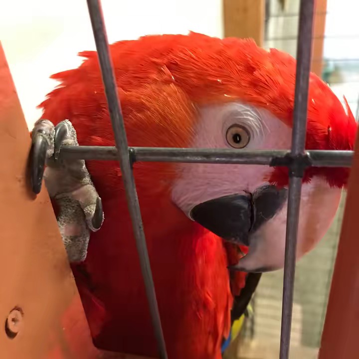 リョオMoon  🧸🧺　🐟