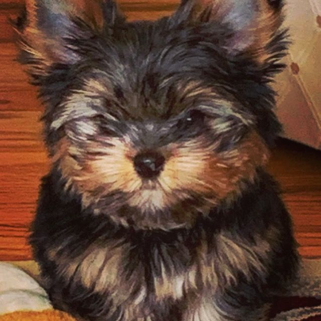 ☘️ Colleen from NJ ☘️